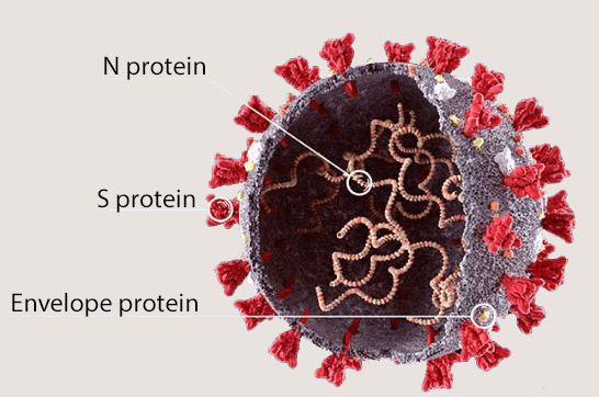 kits-détection-virus-covid-19