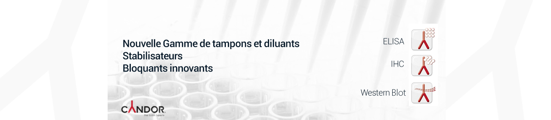 tampons et diluants stabilisateurs