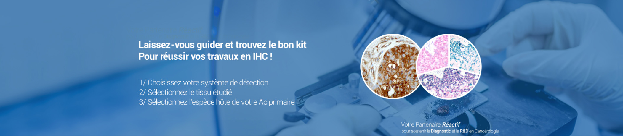 kit-ihc-immunohistochimie