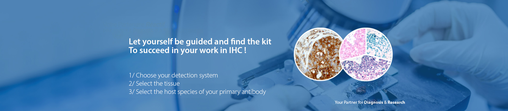 kit-ihc-immunohistochemistry