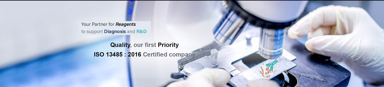 1000-antibodies-IVD-diagnosis